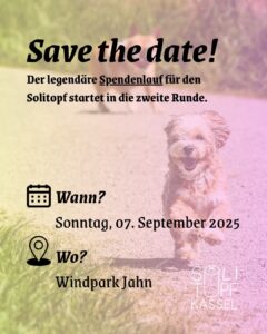 Ein fröhlicher, wuscheliger Hund rennt mit wehendem Fell auf einem sonnigen Schotterweg direkt auf die Kamera zu. Im Hintergrund ist ein zweiter Hund verschwommen zu erkennen, während die Umgebung grün und sommerlich wirkt. Über dem Bild liegt ein sanfter Farbverlauf in Rosa- und Gelbtönen. Im Text auf dem Bild steht: „Save the date! Der legendäre Spendenlauf für den Solitopf startet in die zweite Runde.“ Darunter folgen die Veranstaltungsdetails: Wann? Sonntag, 07. September 2025 Wo? Windpark Jahn Unten rechts ist das Logo von Solitopf Kassel abgebildet.